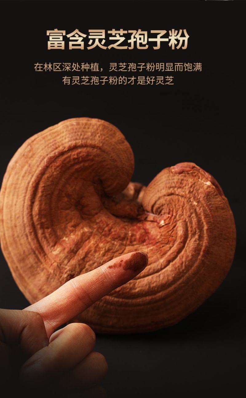 紫灵芝片赤灵芝切片盒装东北特产长白山椴木灵芝片