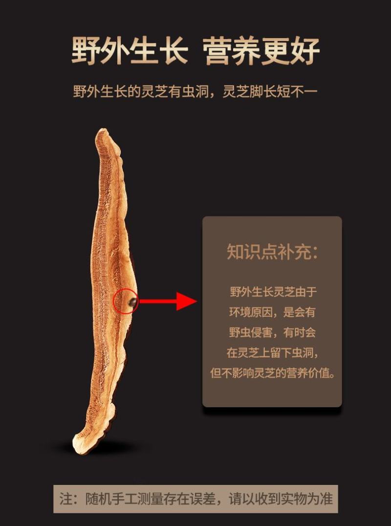 紫灵芝片赤灵芝切片盒装东北特产长白山椴木灵芝片