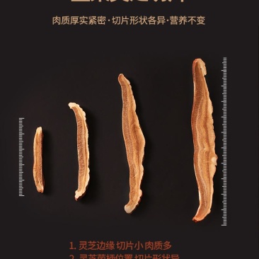 紫灵芝片赤灵芝切片盒装东北特产长白山椴木灵芝片
