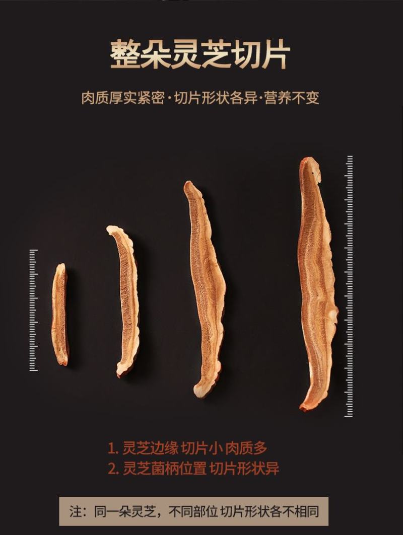 紫灵芝片赤灵芝切片盒装东北特产长白山椴木灵芝片
