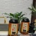碎银子（茶化石）普洱熟茶，糯香十足，入口醇厚浓郁，很耐泡
