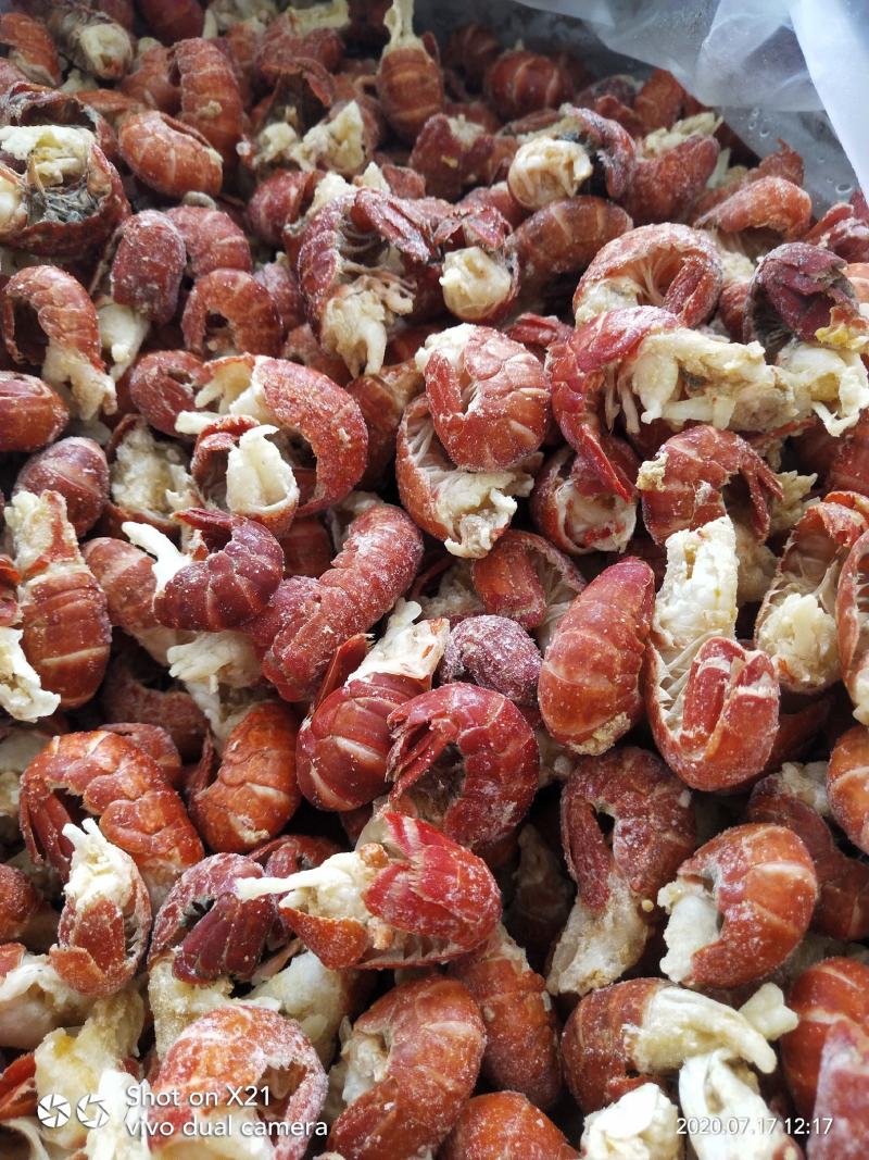 干冻龙虾尾无冰衣，肉质饱满视频看货餐饮直供量大优惠