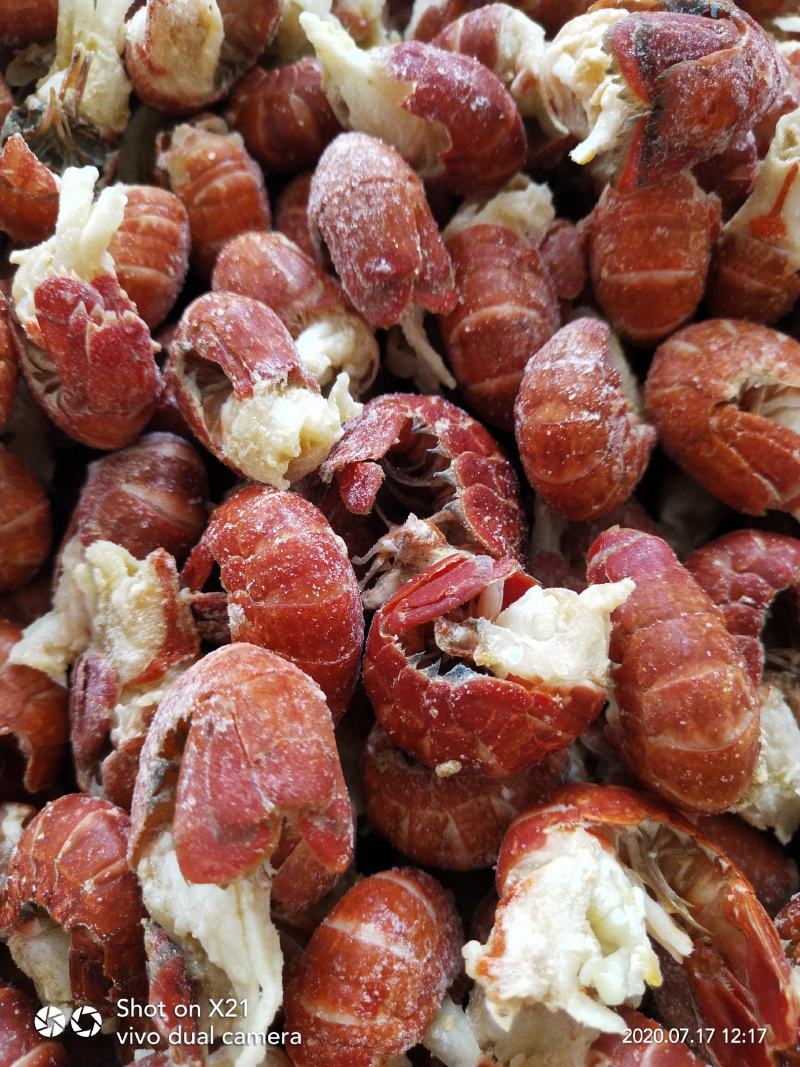 干冻龙虾尾无冰衣，肉质饱满视频看货餐饮直供量大优惠
