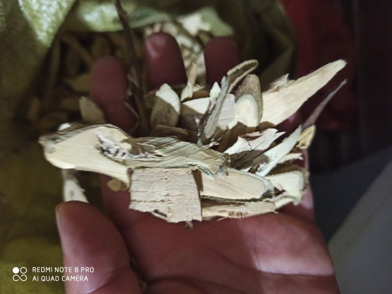 茄子根白茄子根茄根可打粉批发零售产地直销