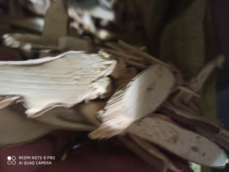 茄子根白茄子根茄根可打粉批发零售产地直销