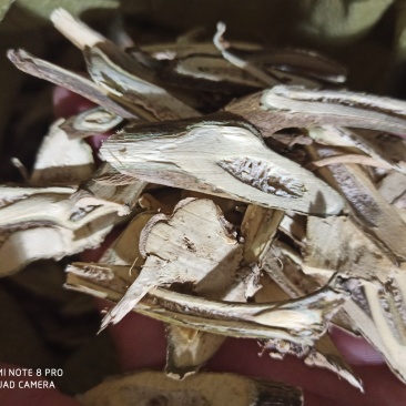 茄子根白茄子根茄根可打粉批发零售产地直销