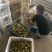 蒲江红心猕猴桃中果
