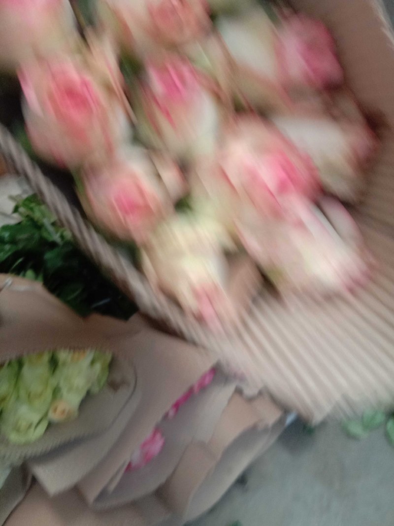 现釆现售的新鲜彩玫红玫