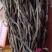 新货自然晒干豆角保质保量