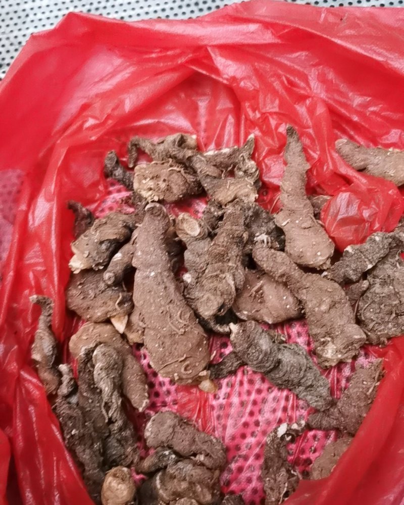 中药材，产地桦重楼，纯野生，全干货，价格美丽。