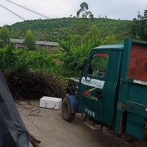 广西全州石塘镇种植农场转让