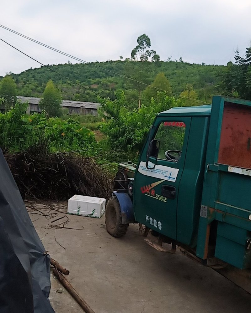 广西全州石塘镇种植农场转让