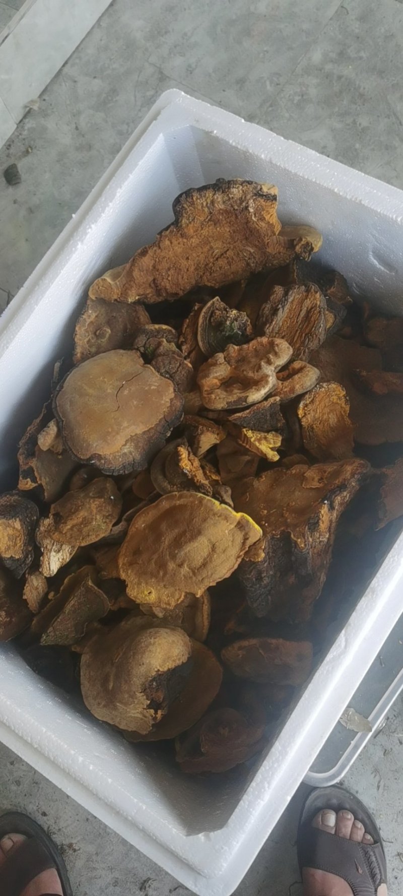 中药材，飞木桑，全干货，产地货质量好，价格美丽。