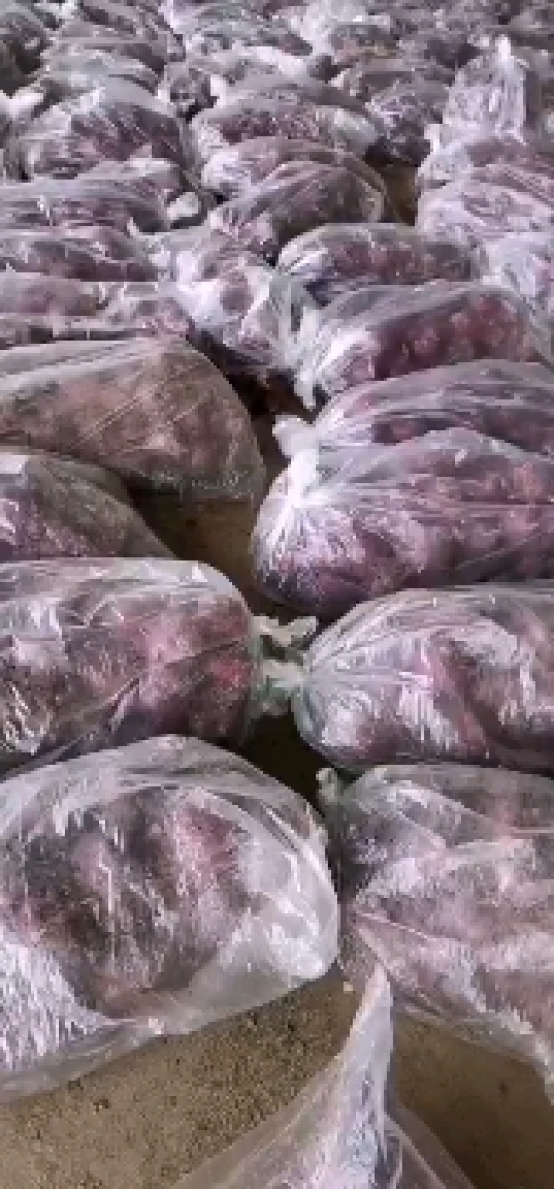 优质紫皮，现大量上市，欢迎选购，需要的联系