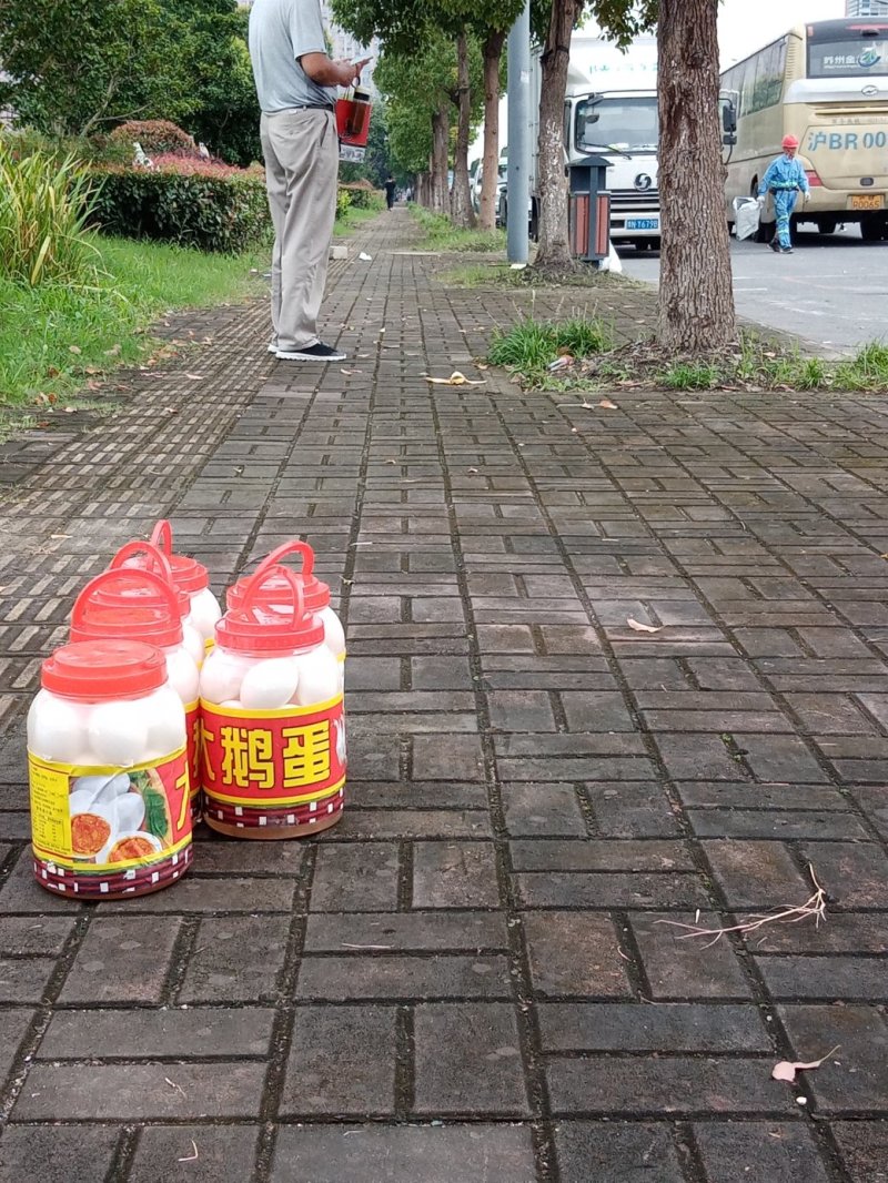 咸鹅蛋大桶鹅蛋桶装蛋产地直工，可视频看