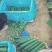 黄瓜，密刺黄瓜，量大价优，可长久合作，基地黄瓜，常年种植