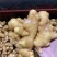 山东大黄姜批发价格日照临沂潍坊莱芜大黄姜基地价格
