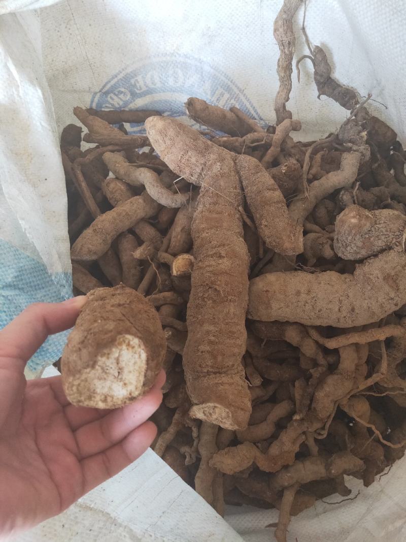 防己鲜统货，基地有种植50多亩欢迎探讨交流