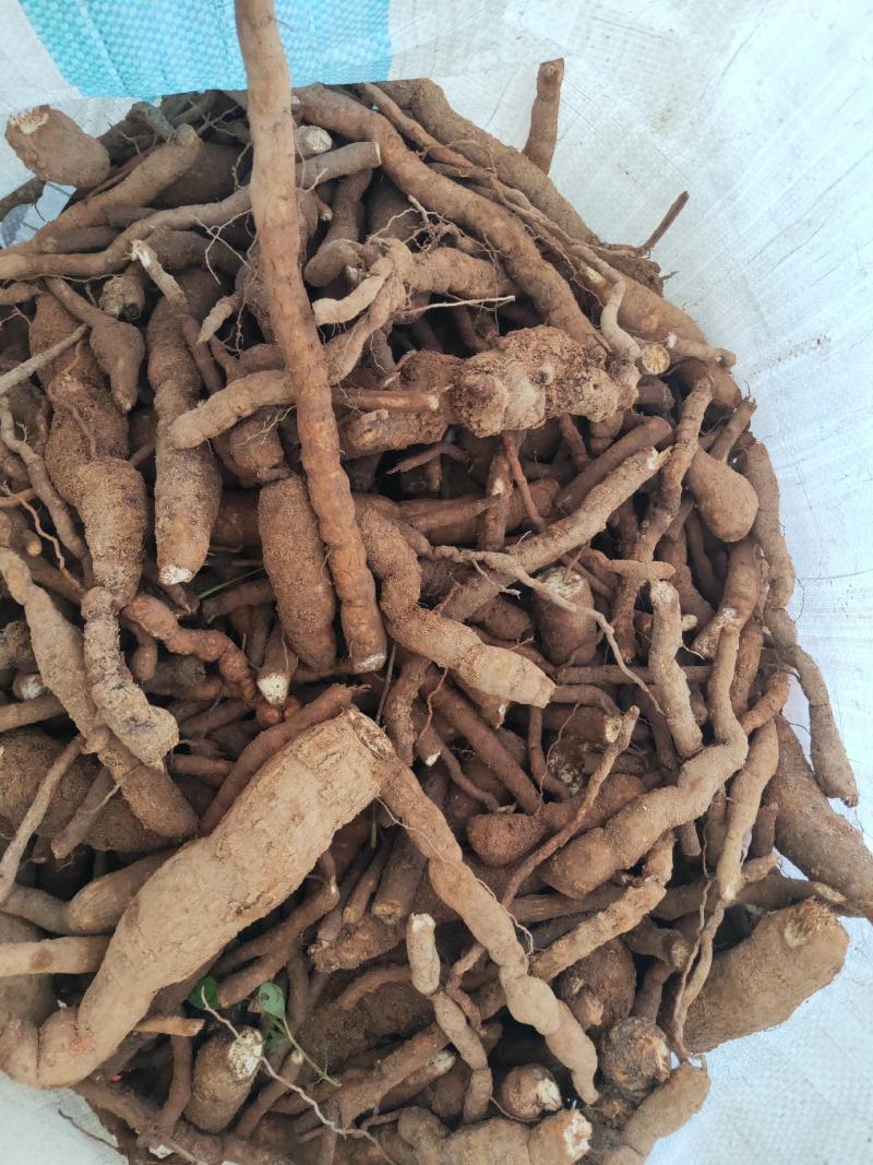 防己鲜统货，基地有种植50多亩欢迎探讨交流