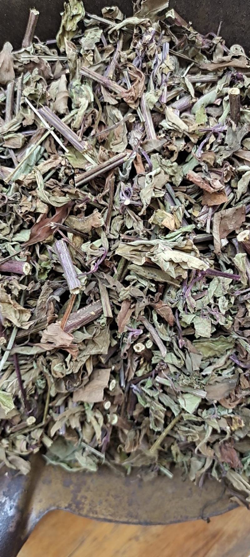 中药材猫须草肾茶2022新货无硫产地直销