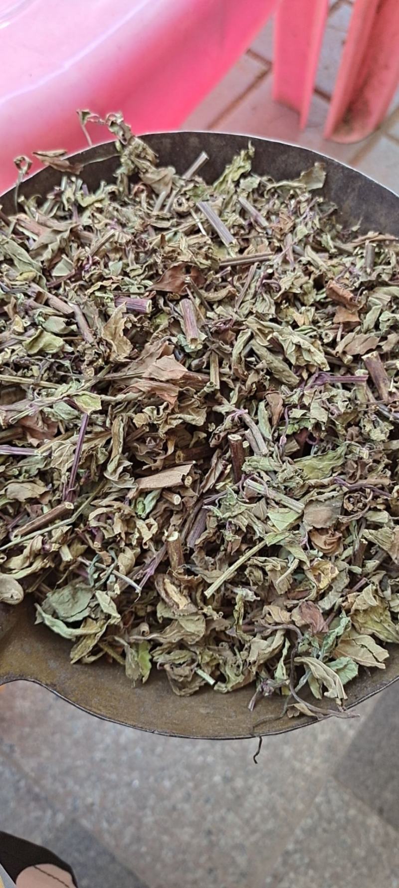 中药材猫须草肾茶2022新货无硫产地直销