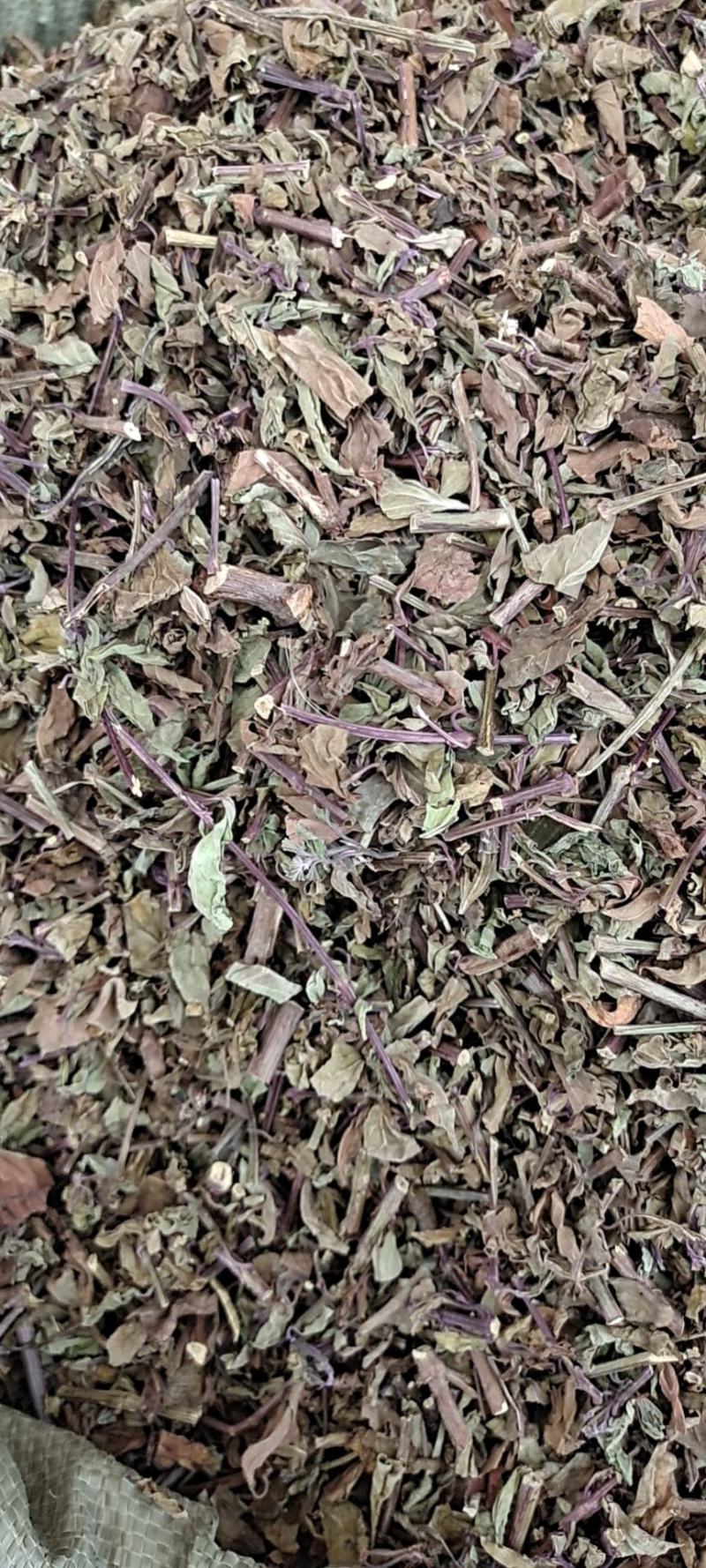 中药材猫须草肾茶2022新货无硫产地直销
