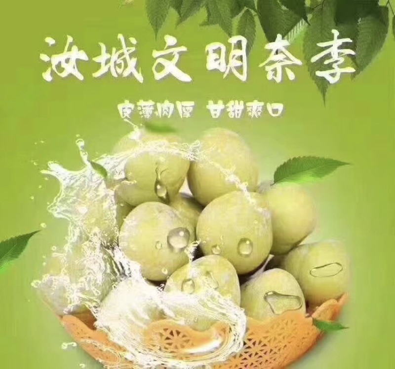 黄金奈李李子