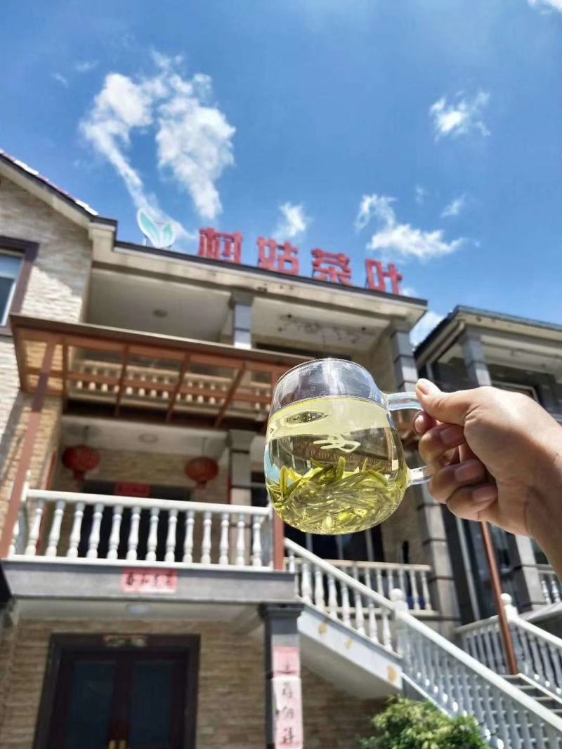 安吉白茶2020年新茶叶正宗雨前一级散装村姑茶叶