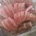 恩施土家腊肉腊蹄腊排骨