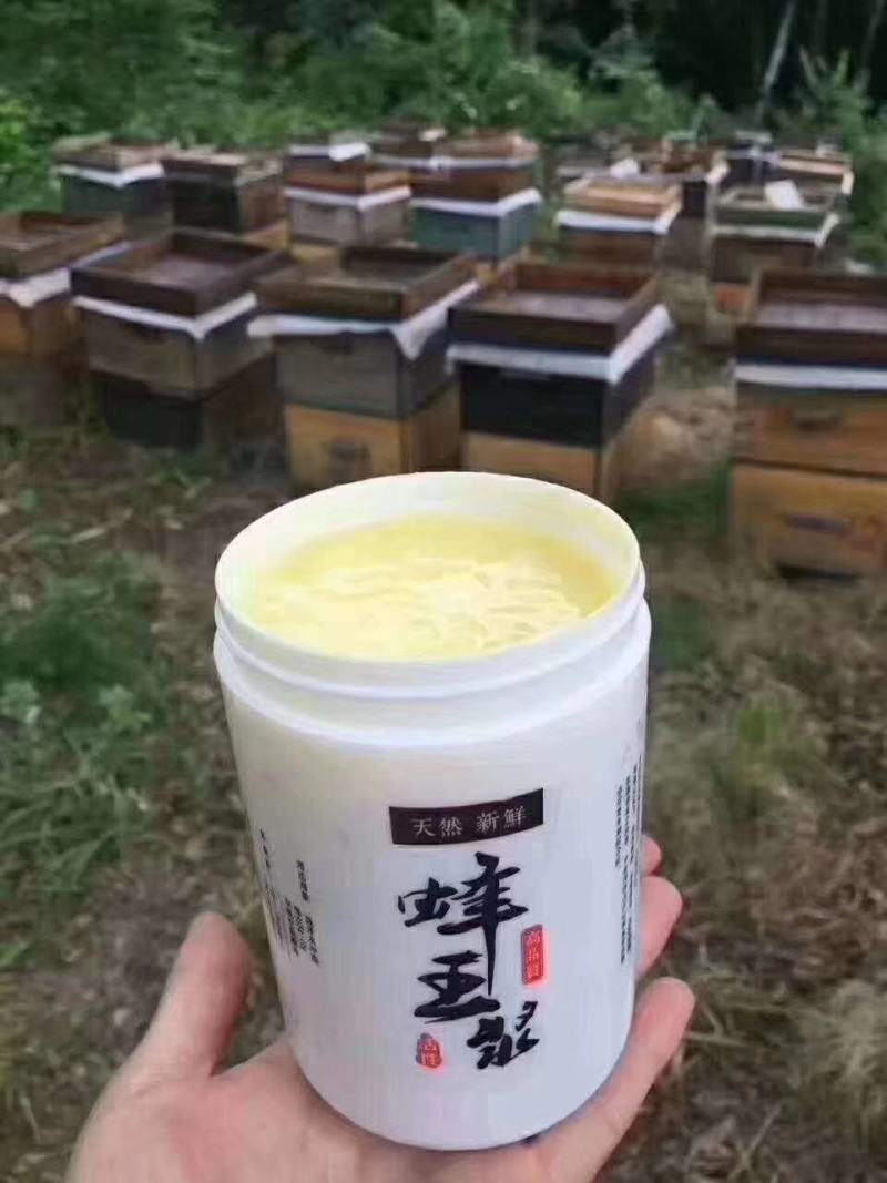 东北蜜蜂王皇浆蜂王浆黑龙江发货蜂场直发两斤包邮
