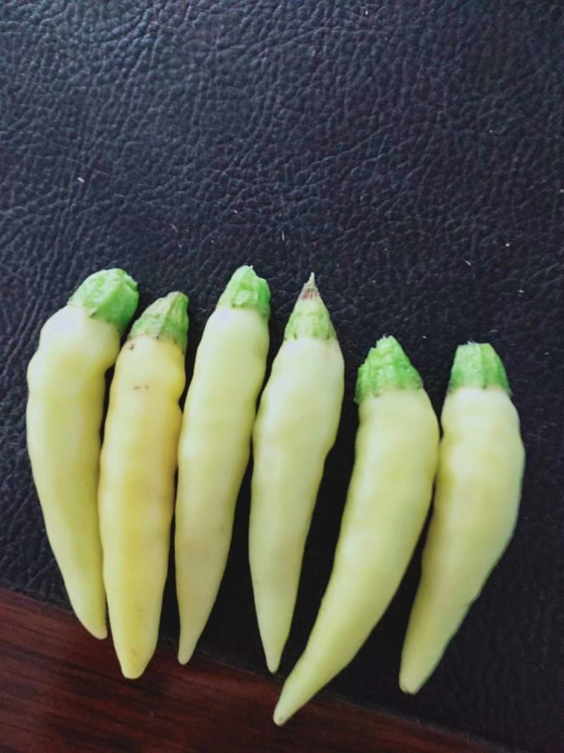 红.白泡椒，基地直供，代发全国。