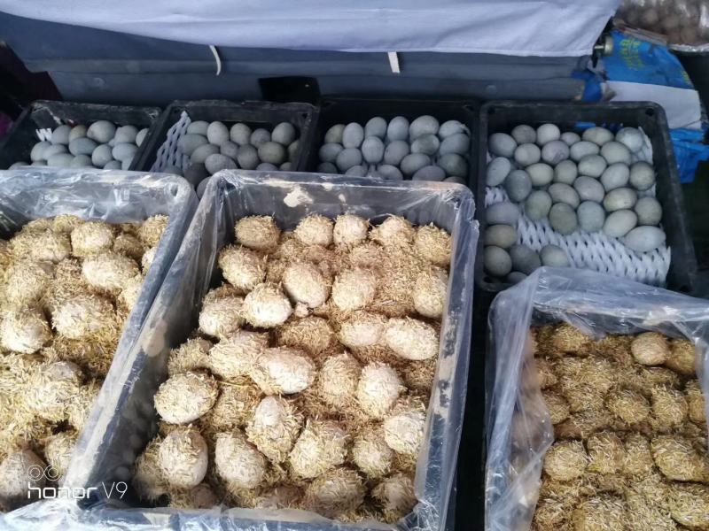 松花蛋！大集抢破头10元15个模式0.4一个欢迎商贩一起