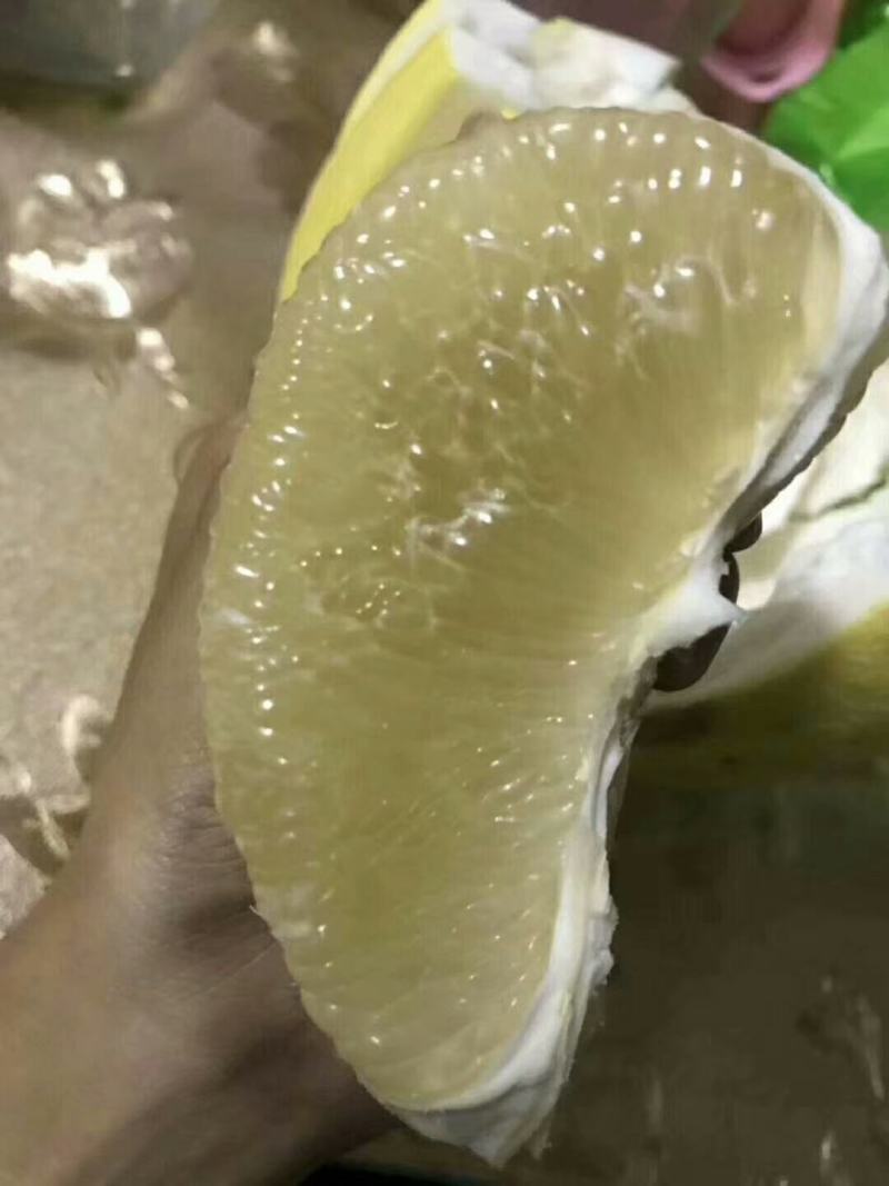 西双版纳柚子，东试早，《傣柚》一手货源现摘现发