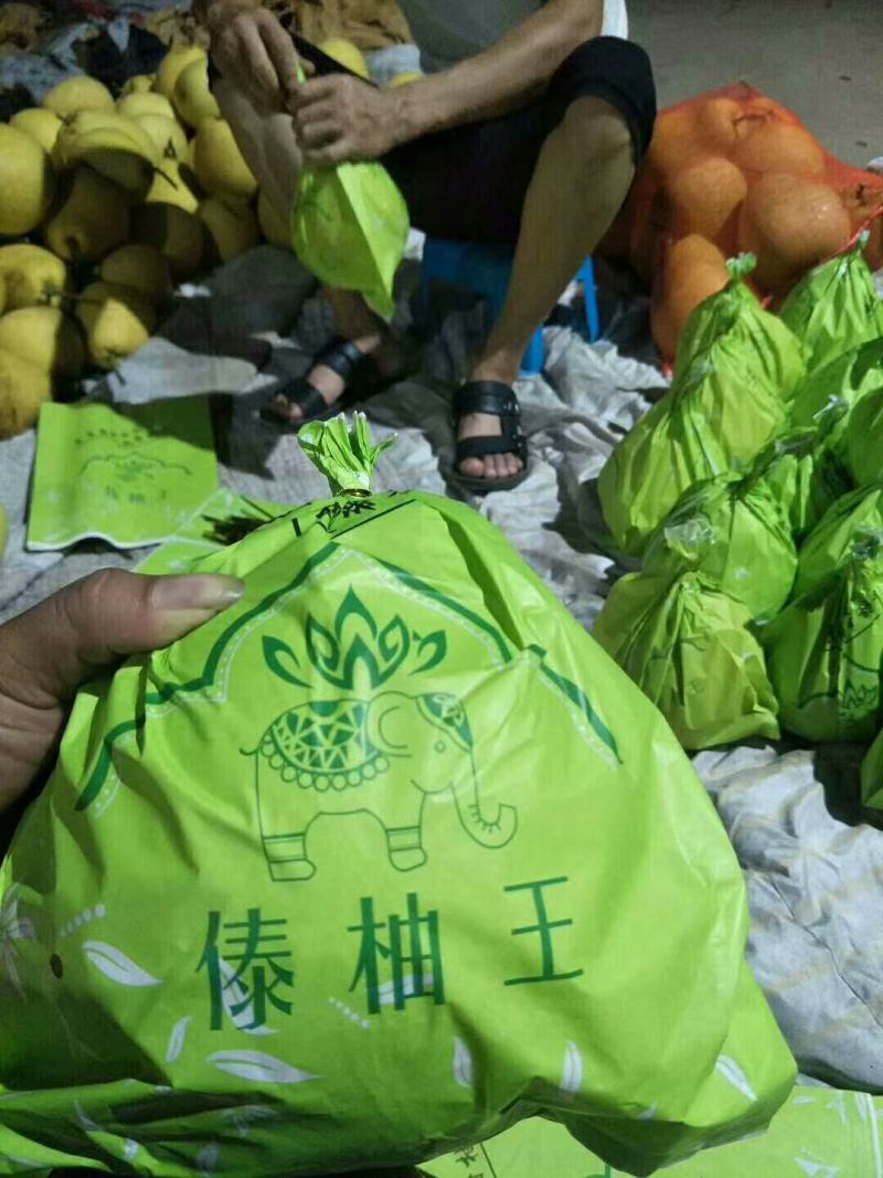 西双版纳柚子，东试早，《傣柚》一手货源现摘现发
