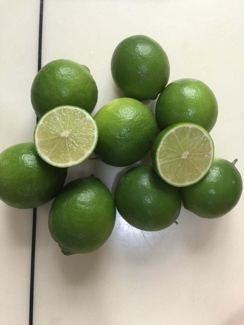 广东香水柠檬，台湾香水柠檬，无籽青柠，品种保证