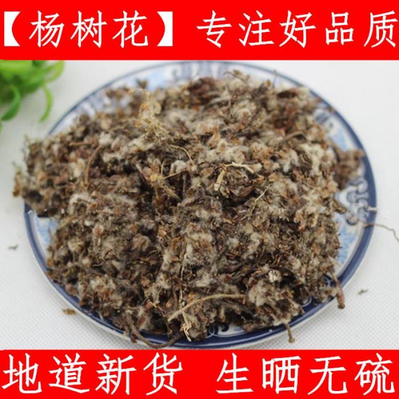 大货杨树花白杨子货好量大要多了有优惠山东直发