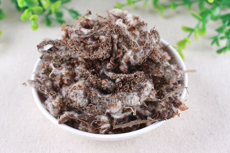 大货杨树花白杨子货好量大要多了有优惠山东直发