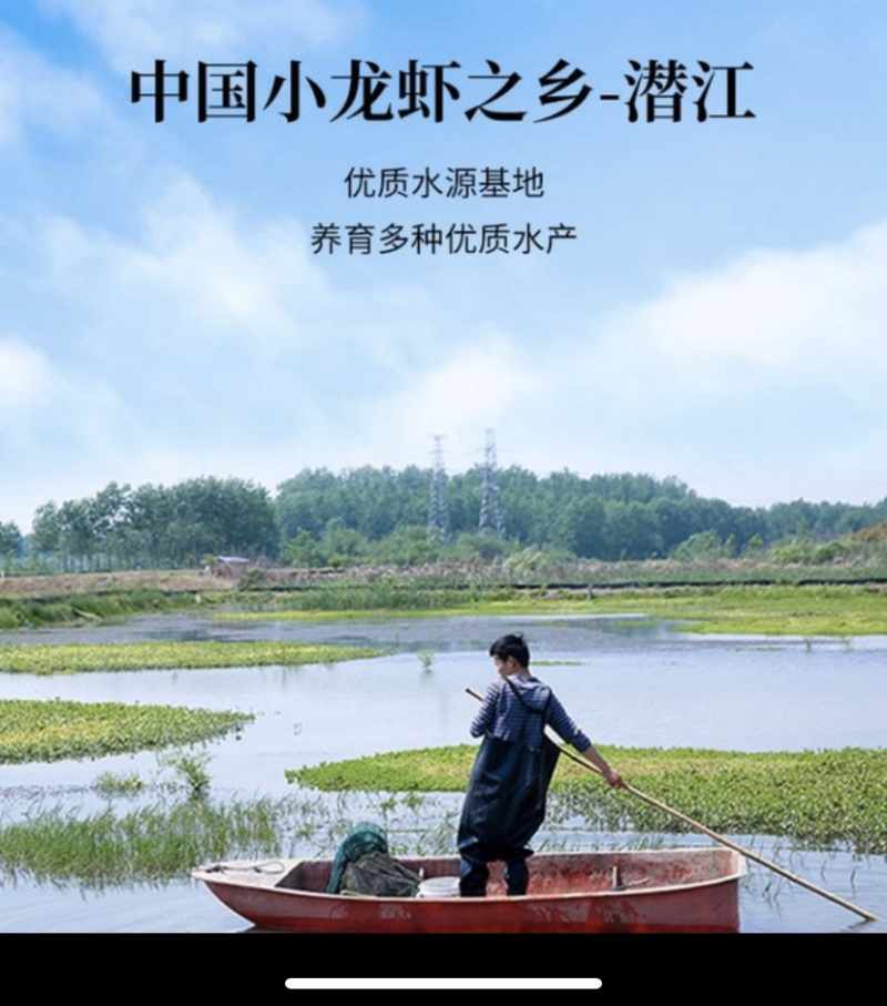 田螺优质种螺手工挑拣大中小规格可选直达包邮