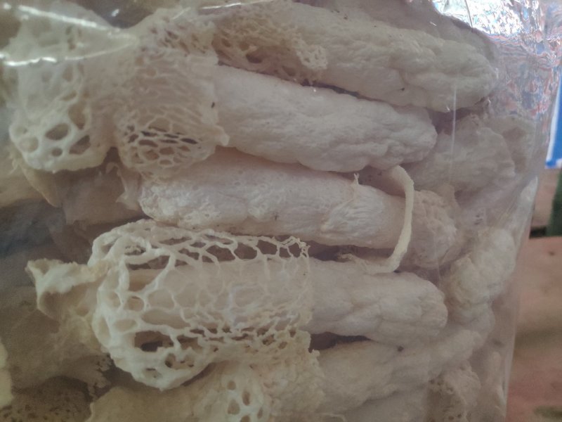 贵州红托竹荪产地种植产地批发一手货源需要联系
