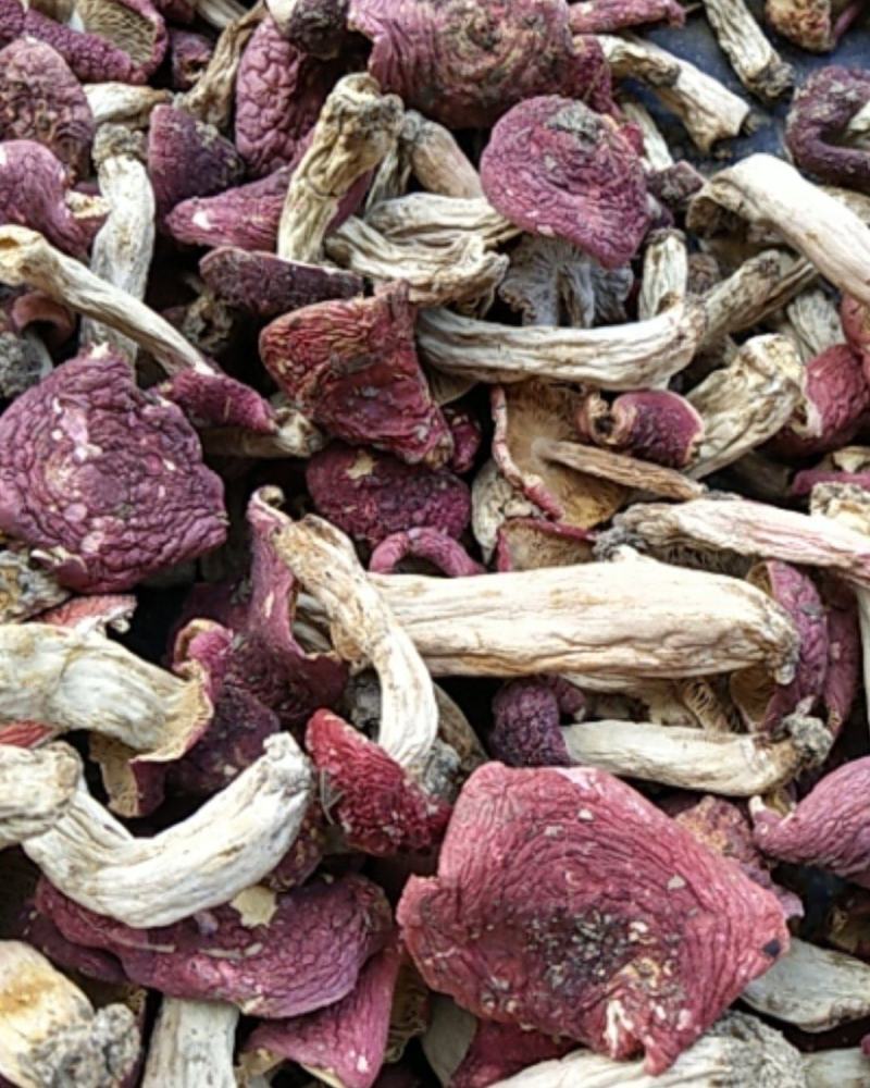 干红菌菇，朱砂菌，红菇，大小规格齐全全烘干
