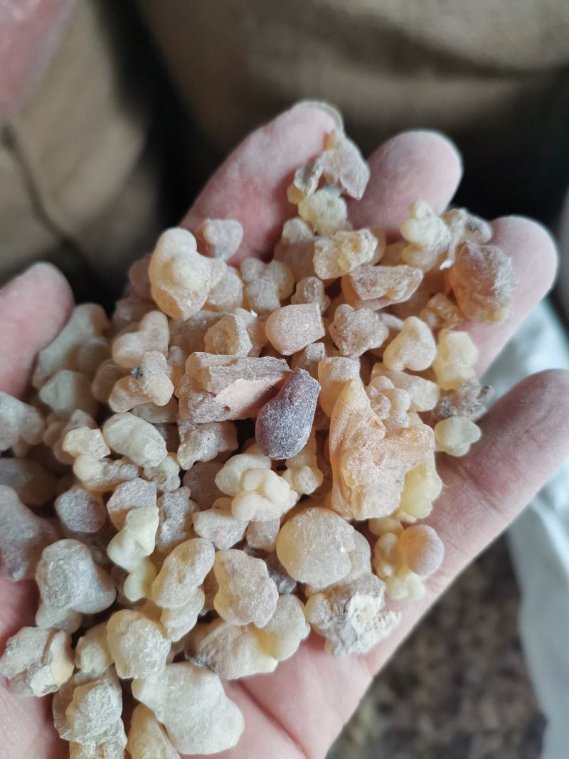 乳香乳香珠制乳香高含量规格齐全一公斤起发货