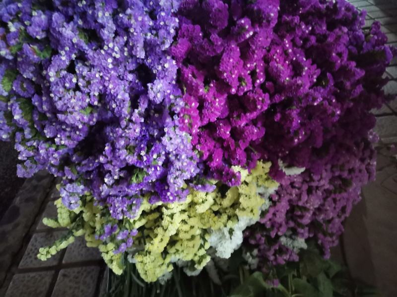 云南昆明批发市场基地直发所有鲜切花