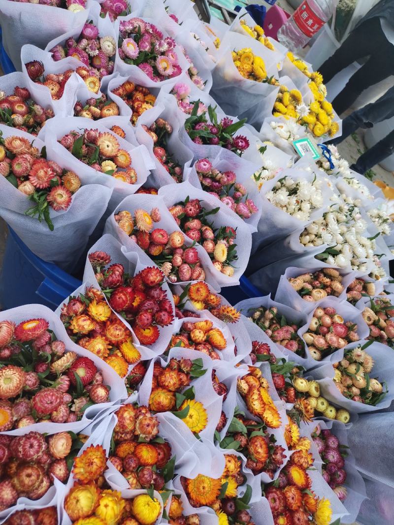 云南昆明批发市场基地直发所有鲜切花
