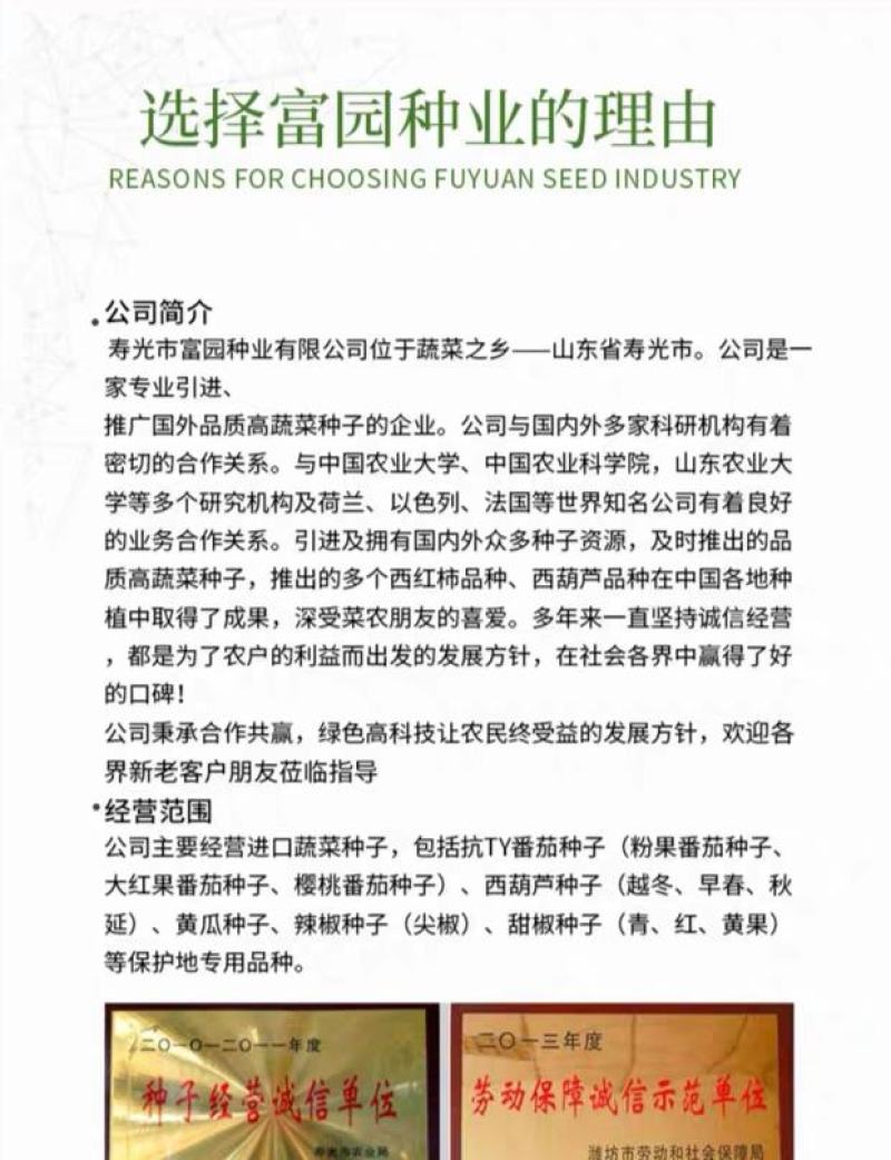 口感好西红柿种子口味秋冬早熟抗寒高产大果番茄种子