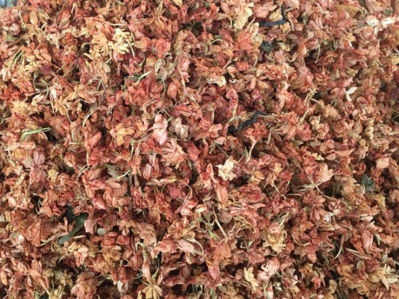 罗汉果花【包邮】三斤起发货可批量可零售量大从优