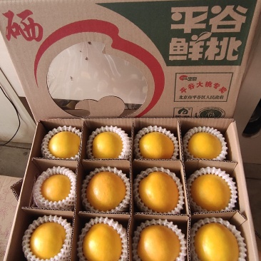 北京平谷大桃新鲜黄油桃礼盒装果园直供批发价格