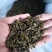 茶碎末茶叶碎渣、茶梗茶末、黄片叶欢迎电话咨询