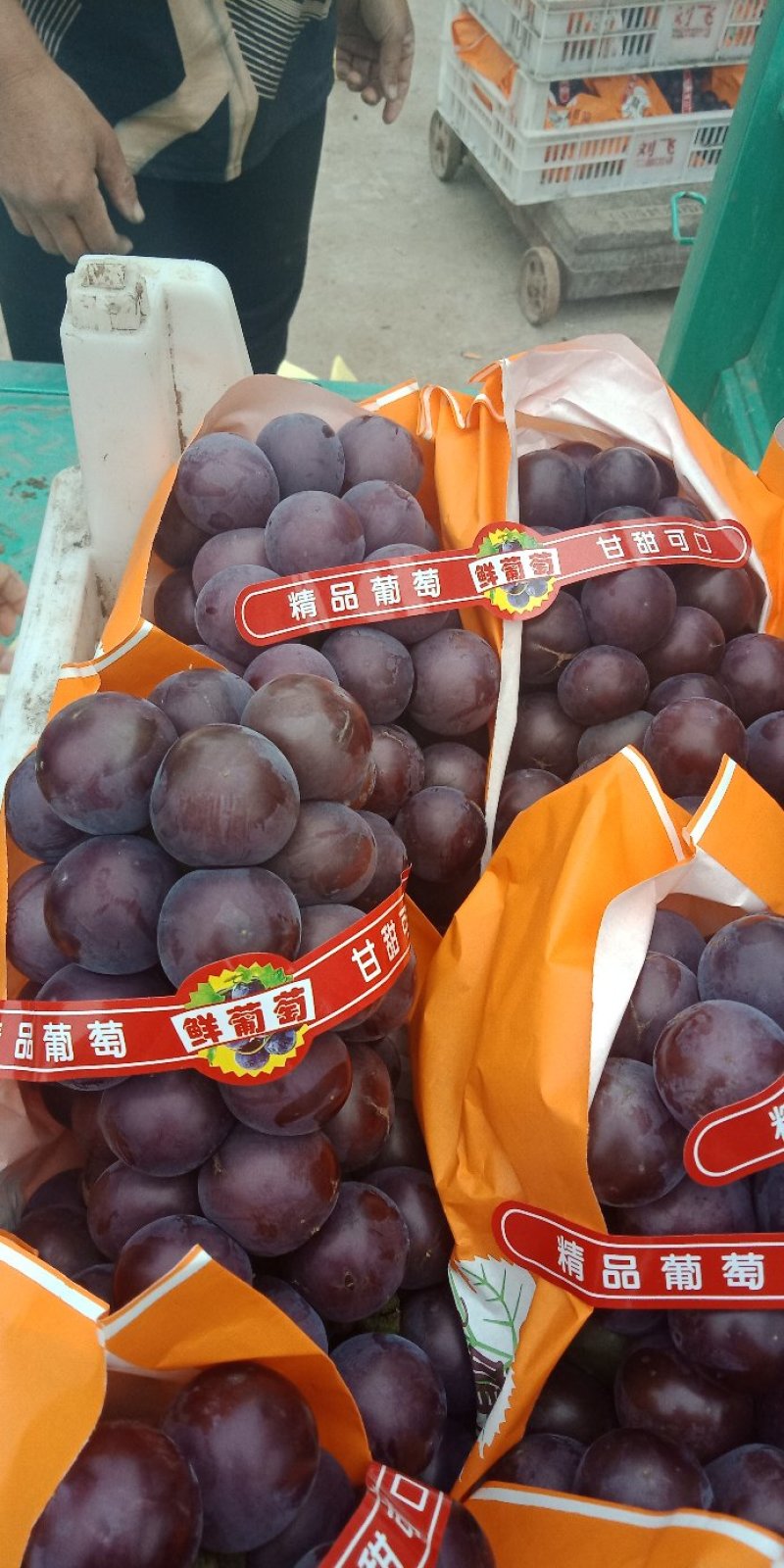 乒乓球葡萄大量上市中
