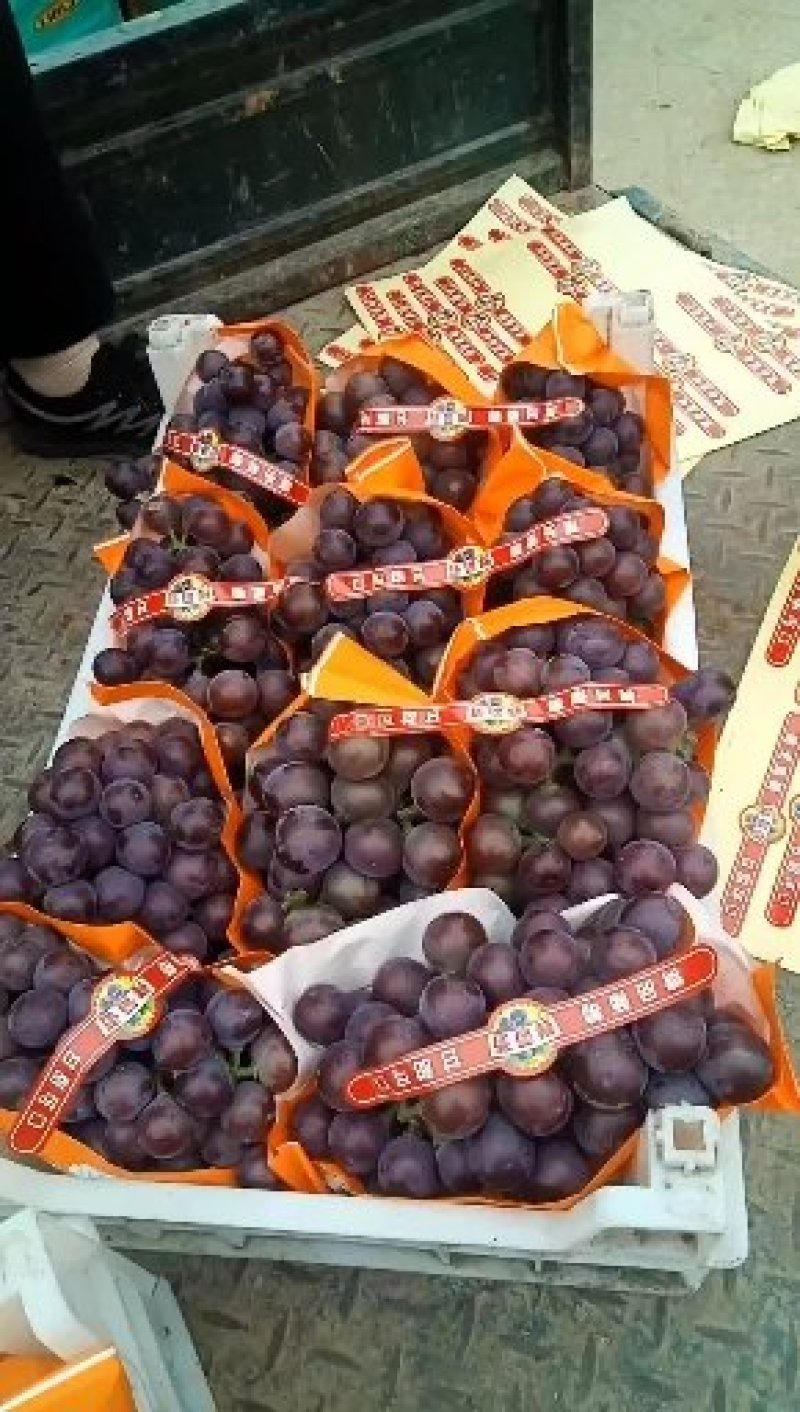 精品乒乓球葡萄大量上市了