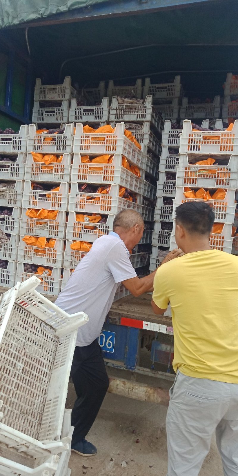 精品乒乓球葡萄大量上市了